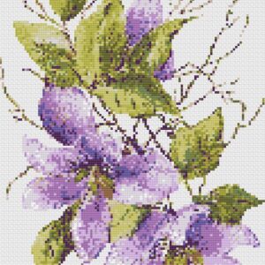 Purple Magnolia Flowers