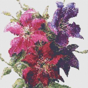 Clematis Bouquet