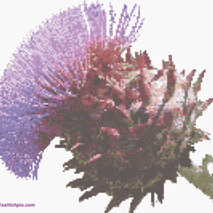 Artichoke Flower in cross-stitch