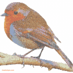 Robin on a branch