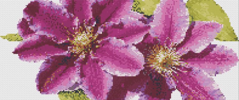 Cross-stitch stitches - Pink clematis