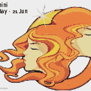 Gemini Zodiac Sign
