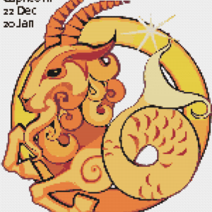 Capricorn Zodiac Sign
