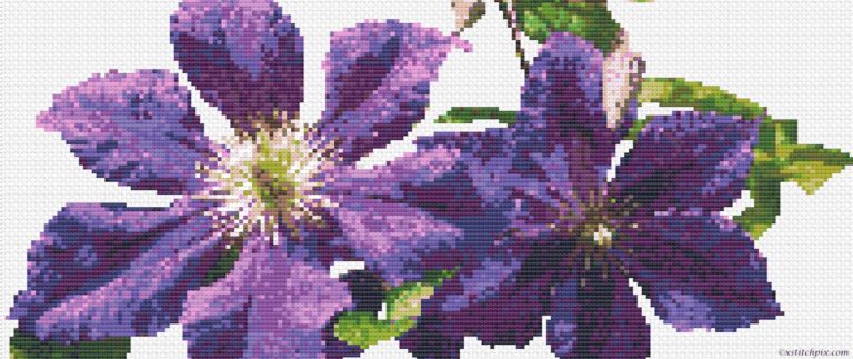 Counted cross-stitch - Purple clematis Ascotiensis