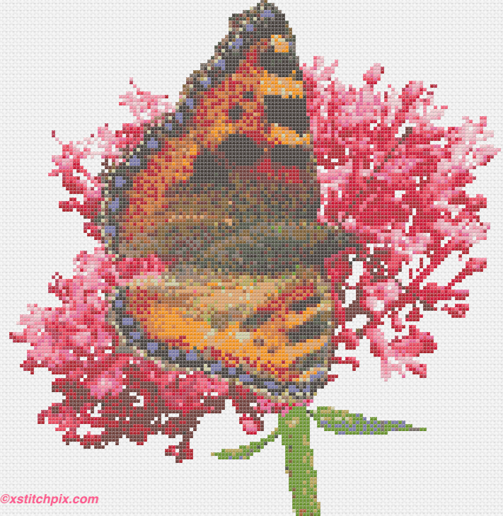 Small Tortoiseshell Butterfly