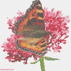 Small Tortoiseshell Butterfly