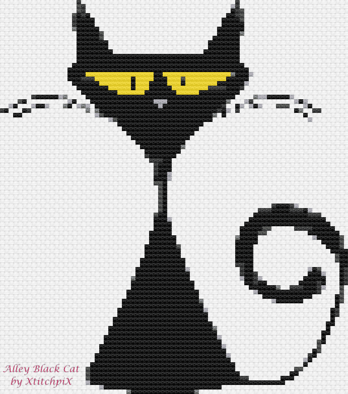Alley Black Cat