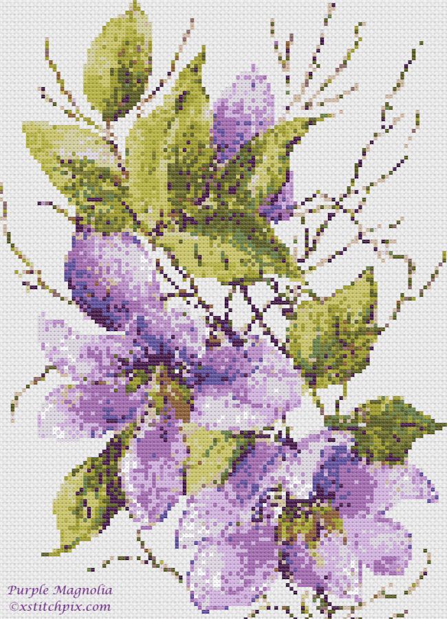 Purple Magnolia Flowers