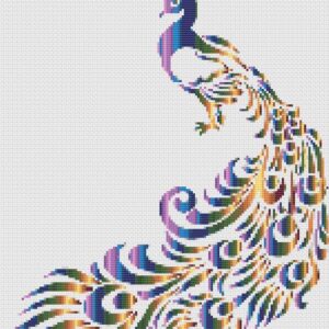 Colourful Peacock