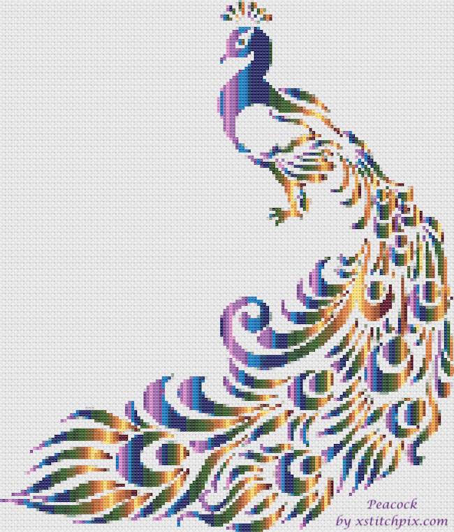Colourful Peacock